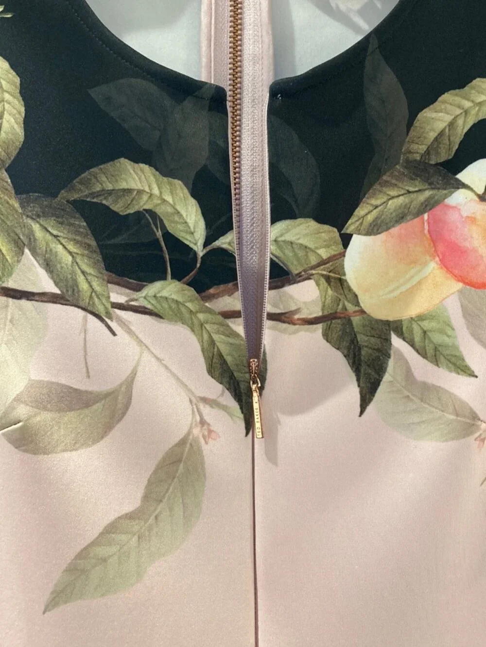 Ted Baker ted baker